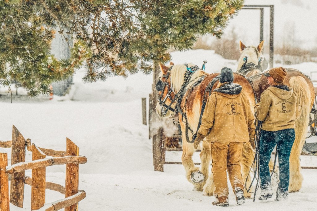 Two people in winter gear lead a team of two large horses through a snowy landscape in Grand County Colorado.