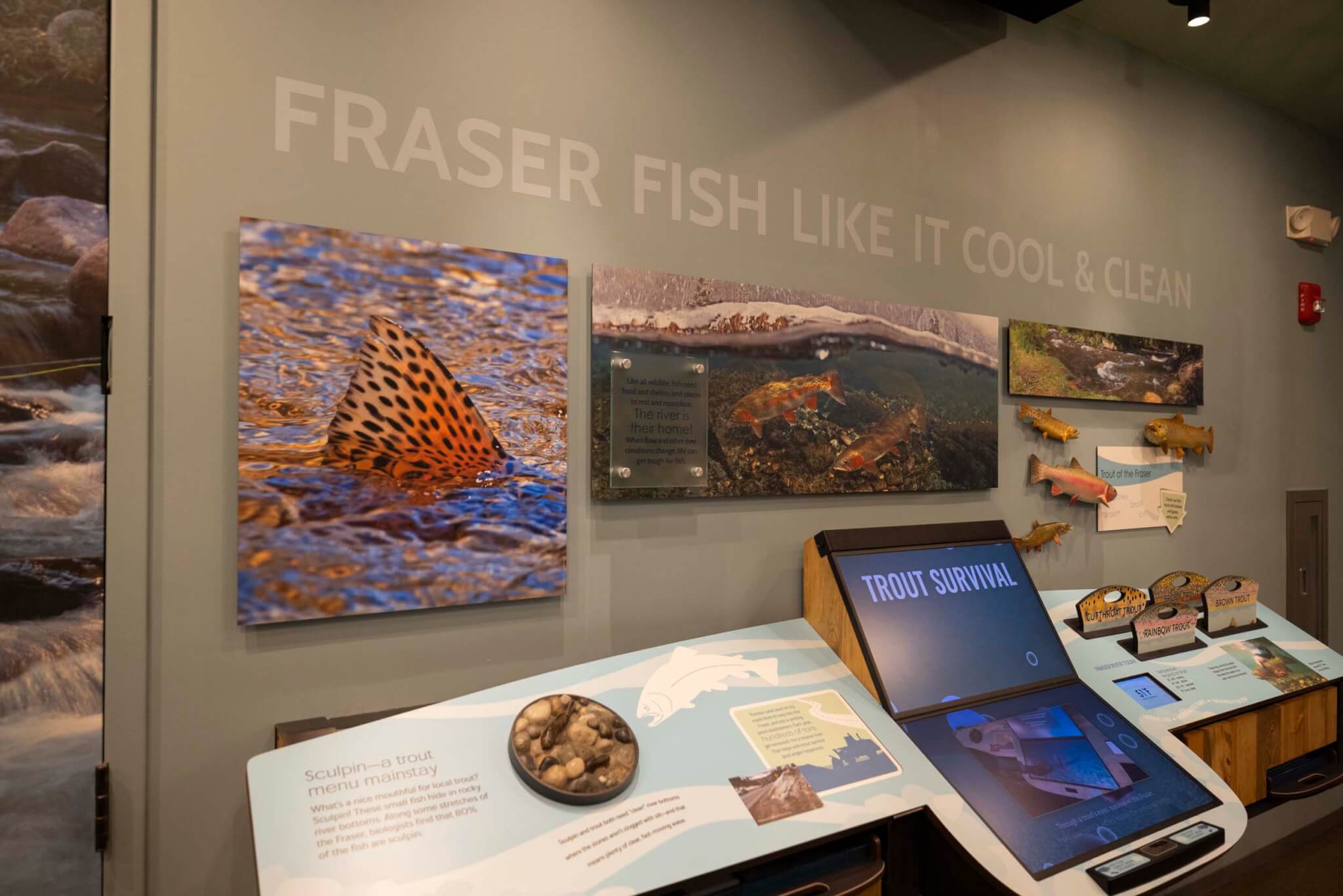 Interactive exhibit showcasing trout survival in cool, clean waters with touchscreens and informative displays in Grand County Colorado.