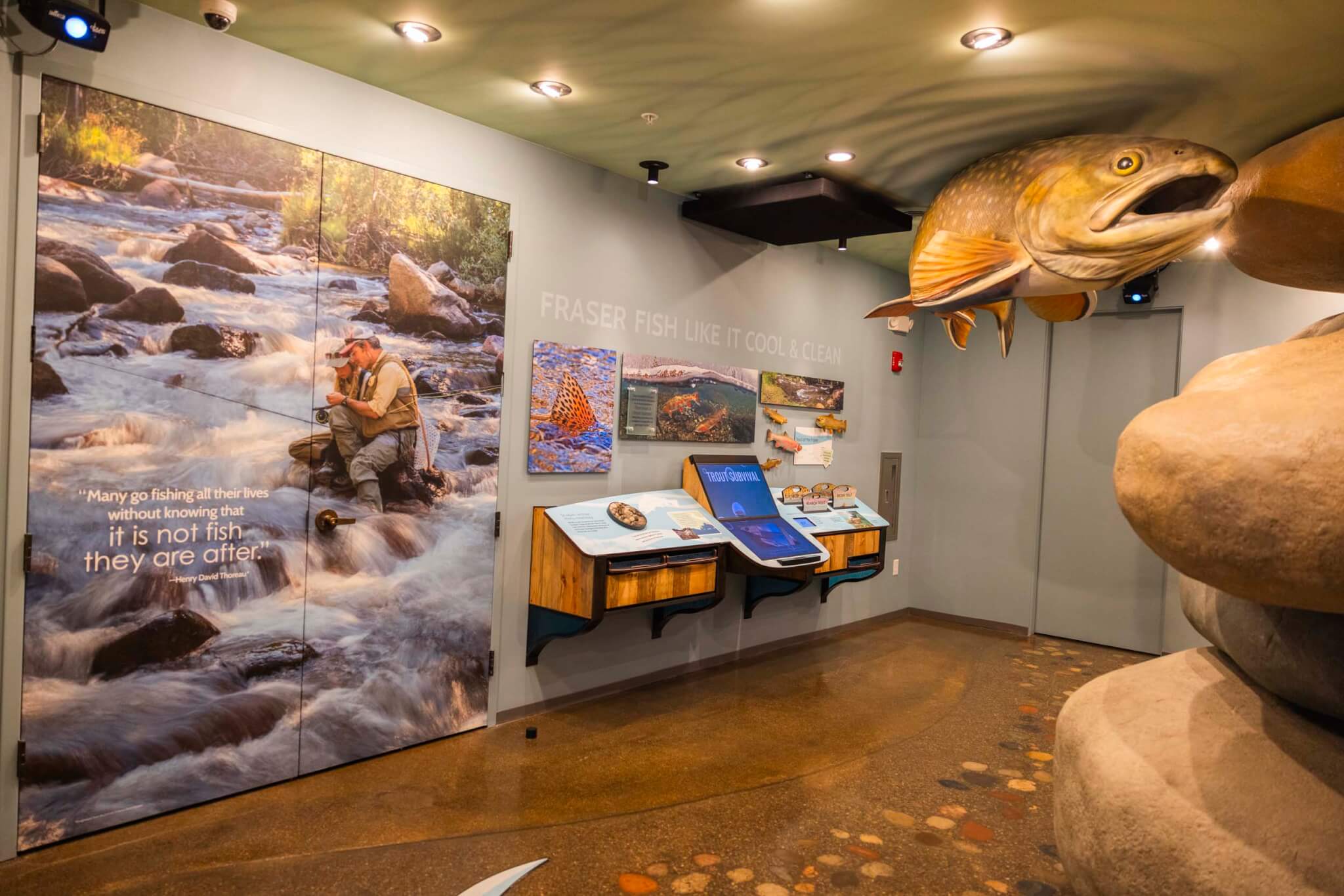 An interactive exhibit featuring a large mural of a fisherman on a river, surrounded by educational displays and a life-sized fish model suspended from the ceiling in Grand County Colorado.