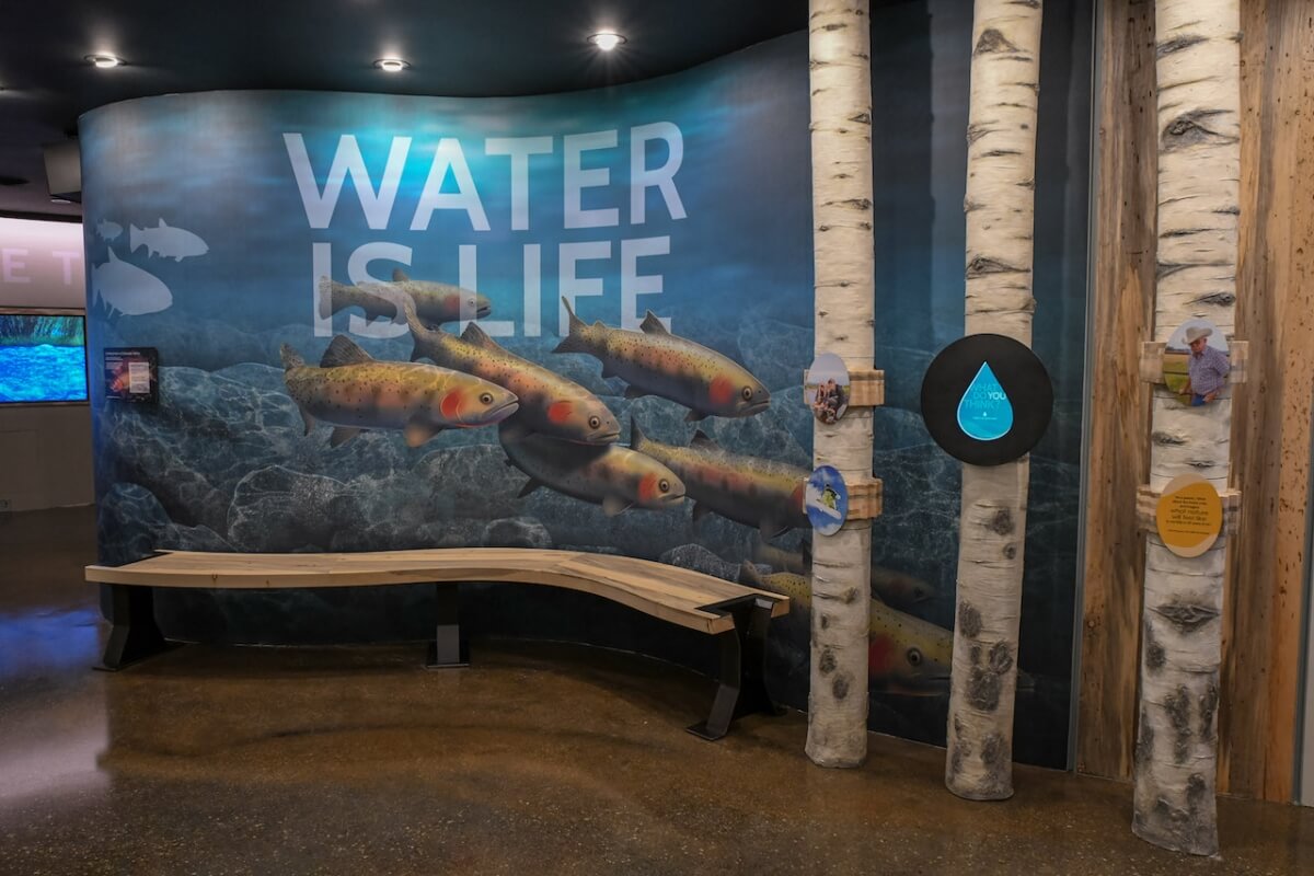 An exhibit with a curved wall mural of fish and the text 'WATER IS LIFE', accompanied by birch trees and a bench in Grand County Colorado.