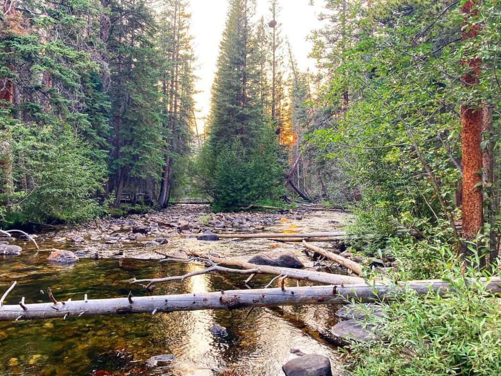 Scenic forest stream along the Adams Falls Trail at sunset.