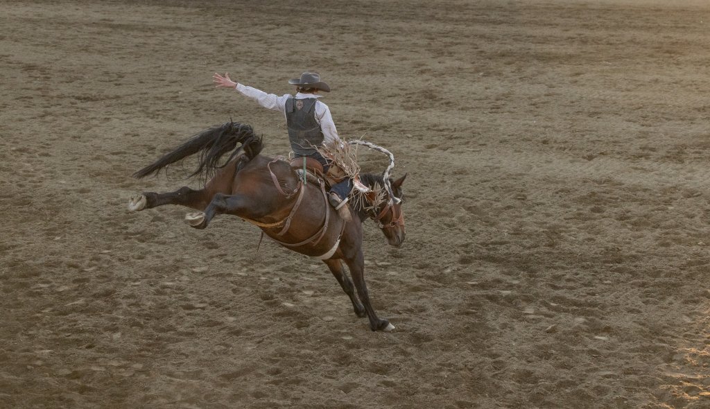 Rodeo rider on a bucking horse at the Middle Park Fair & Rodeo in Kremmling.