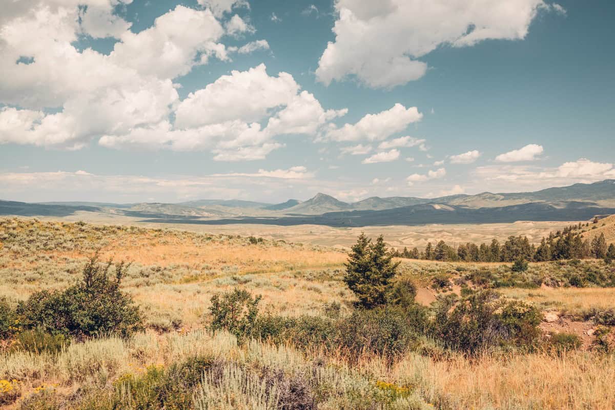 A vast open landscape with grass and shrubs, distant mountains under a partly cloudy sky.