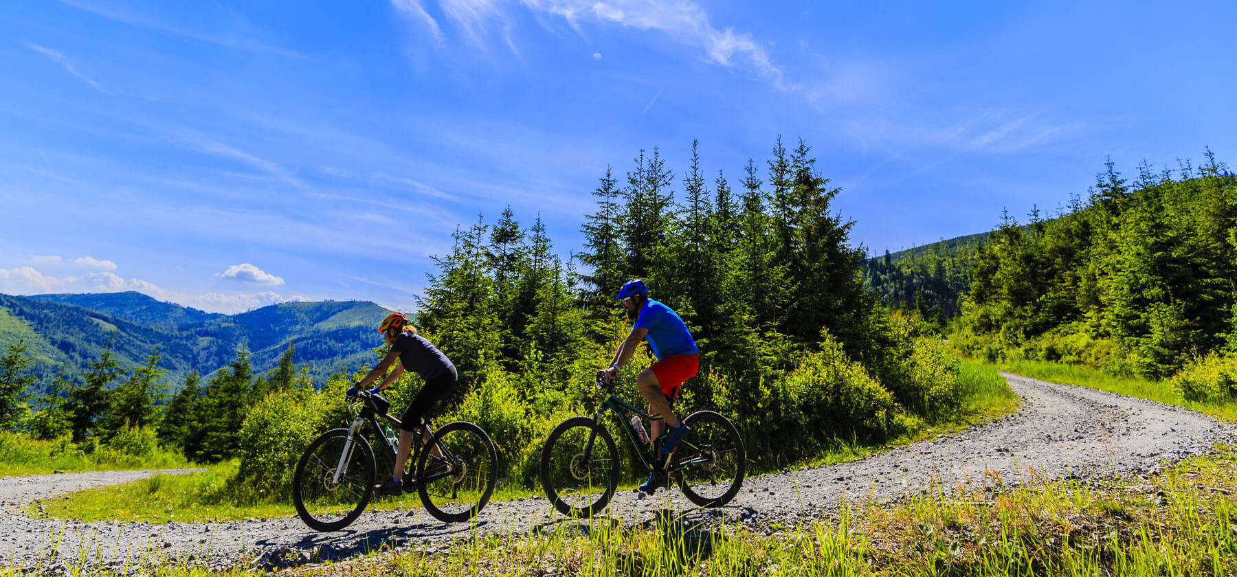 Two cyclists ride mountain bikes on a winding dirt path through a lush green forest with mountains in the distance in Grand County Colorado.