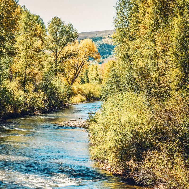 A river surrounded by trees in the fall.