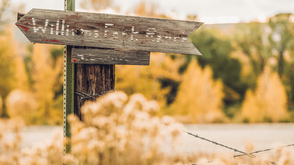 A wooden sign with arrows on it.