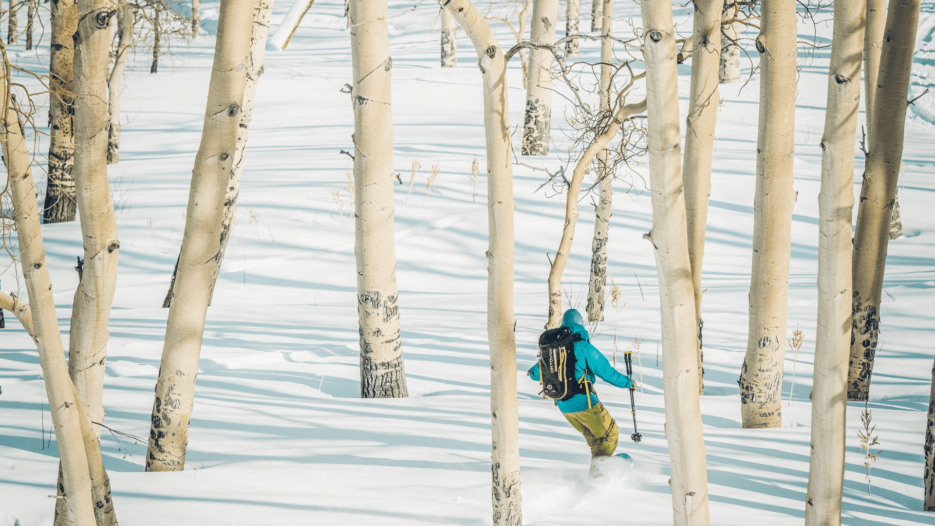 A person skiing through a forest of trees.